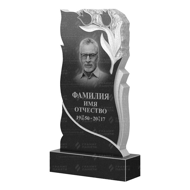 Гранитные памятники в Санкт-Петербурге | Гранитный памятник ФГ-223