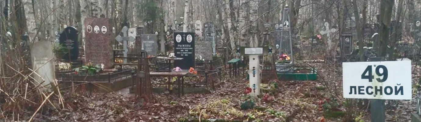 Северное кладбище, Лесной участок