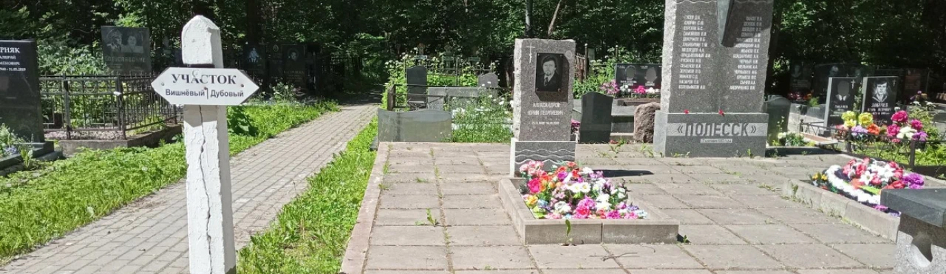 Серафимовское кладбище, Дубовая аллея